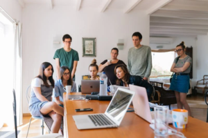 software developers